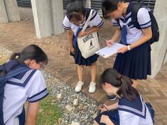 240805【写真】京大研究室訪問 報告⑦ (1).jpgのサムネイル画像