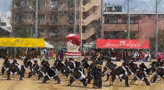 240906【写真】体育祭(応援団、マスゲーム) (12).JPGのサムネイル画像