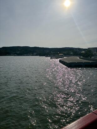 IMG_8960.jpeg