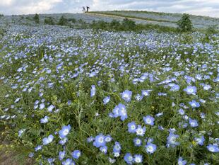 IMG_9391.jpeg