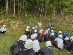 240712【写真】体育祭準備(竹取り) (4).JPGのサムネイル画像