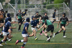 260613【写真】ラグビー部活動報告(第13回全国高等学校7人制大会大阪府予選(vs東住吉高校、vs興国高校)) (2).JPGのサムネイル画像