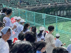 240724【写真】硬式野球部（第106回全国高校野球選手権大阪大会） (4).JPGのサムネイル画像