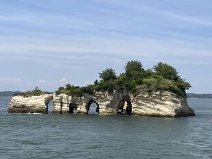 IMG_8935.jpeg