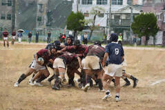 260427【写真】ラグビー部（高校総体２戦目（vs大阪産業大学附属高校））.docx (4).JPGのサムネイル画像