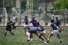 260613【写真】ラグビー部活動報告(第13回全国高等学校7人制大会大阪府予選(vs東住吉高校、vs興国高校)) (8).JPGのサムネイル画像
