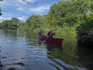 Image_20260618_173235_269.jpeg