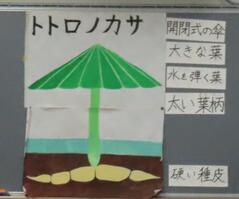 240425【写真】77期 地学グループ発表 特別編(240412実施) (6).JPGのサムネイル画像