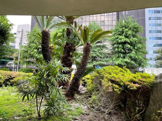 <5月2日(月)遠足>