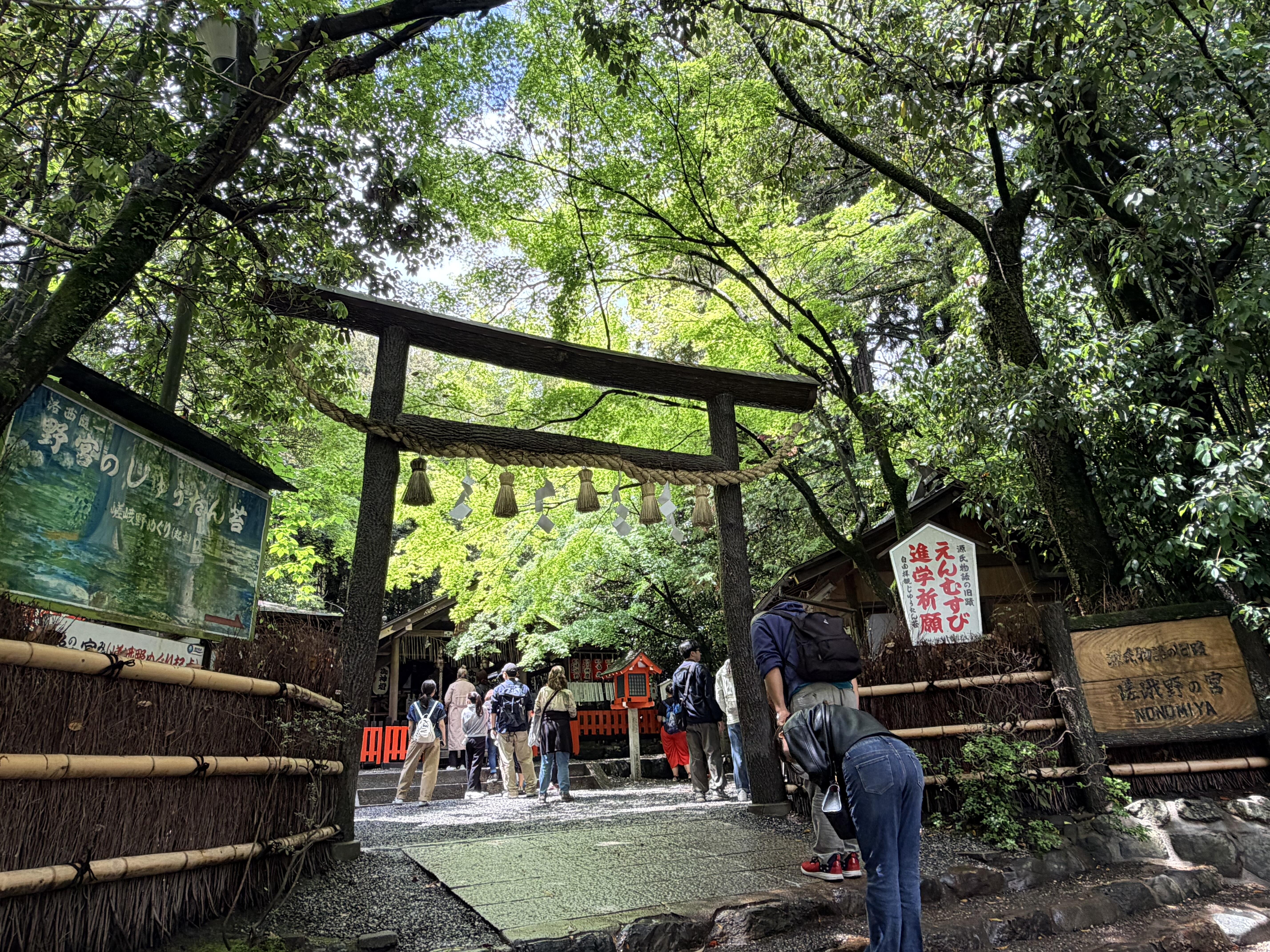 野宮