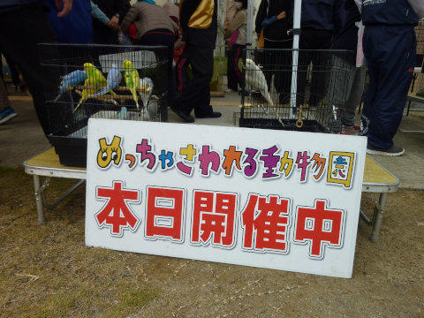 P1060601.jpg