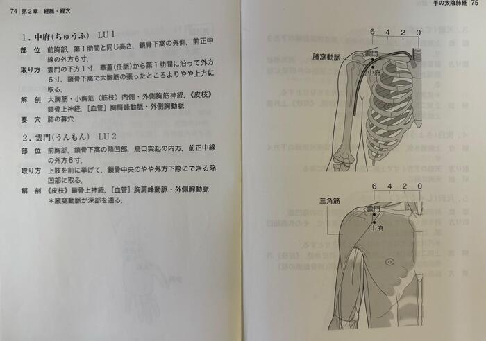理療系学科~北視覚の特長~ その1 「ツボはつらいよ?!」