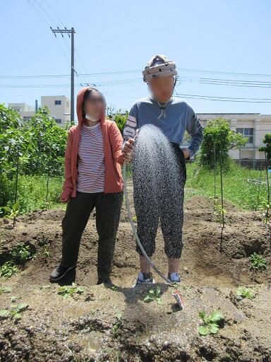 畑３.jpg