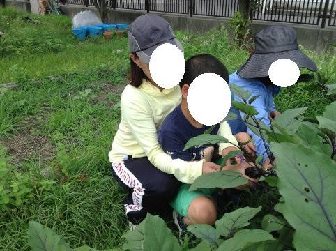 s_IMG_0665.jpg