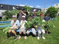 D1グランプリ (9).JPG
