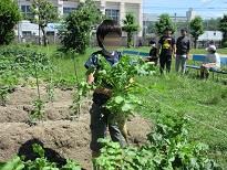 D1グランプリ (7).JPG