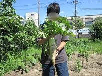 D1グランプリ (3).JPG
