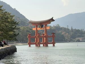 IMG_4605.jpeg