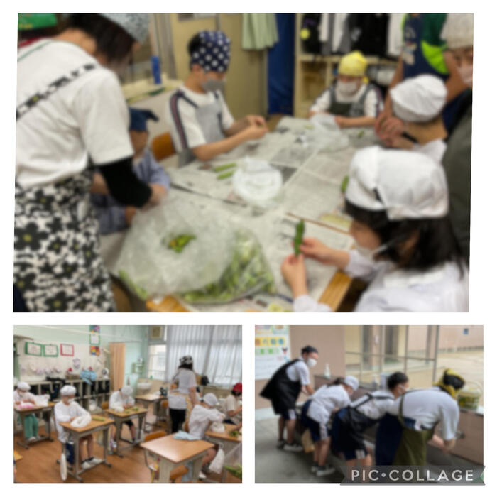 【給食】そら豆のさやむき