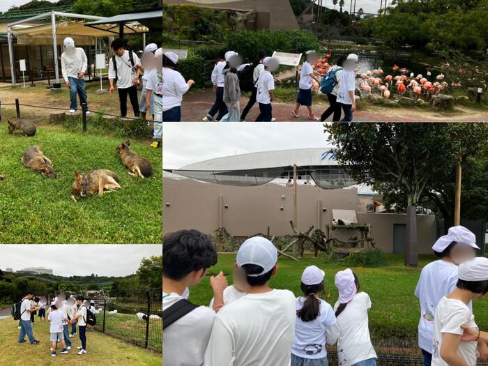【小学部修学旅行】アドベンチャーワールド