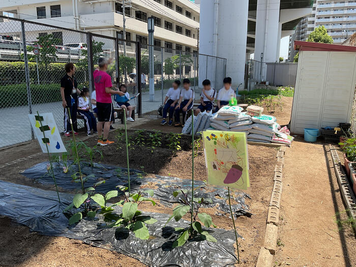 【中学部】みんなで育てる、ゆったり畑時間！！