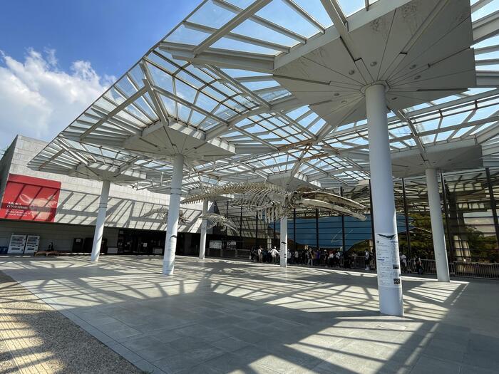 高2宿泊学習「大阪市立自然史博物館」①