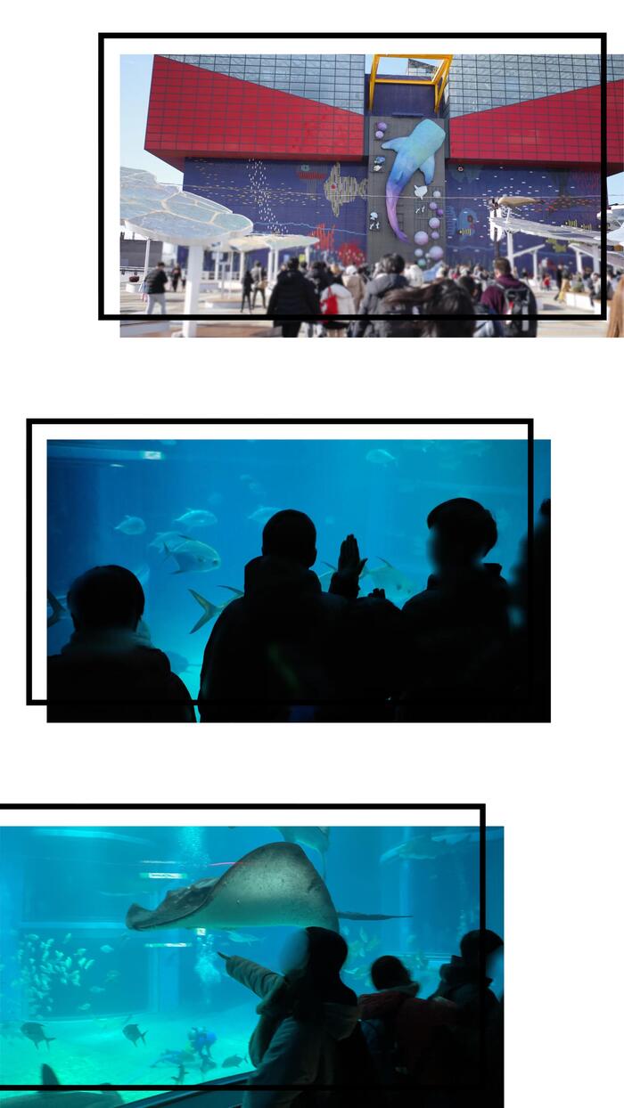 🐠校外学習🐠