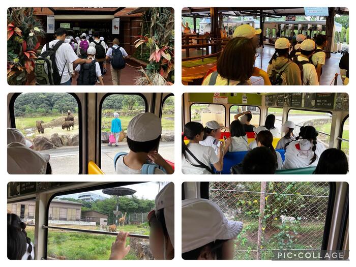 【小学部修学旅行】アドベンチャーワールド