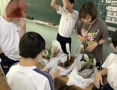 癒しの見つめる時間