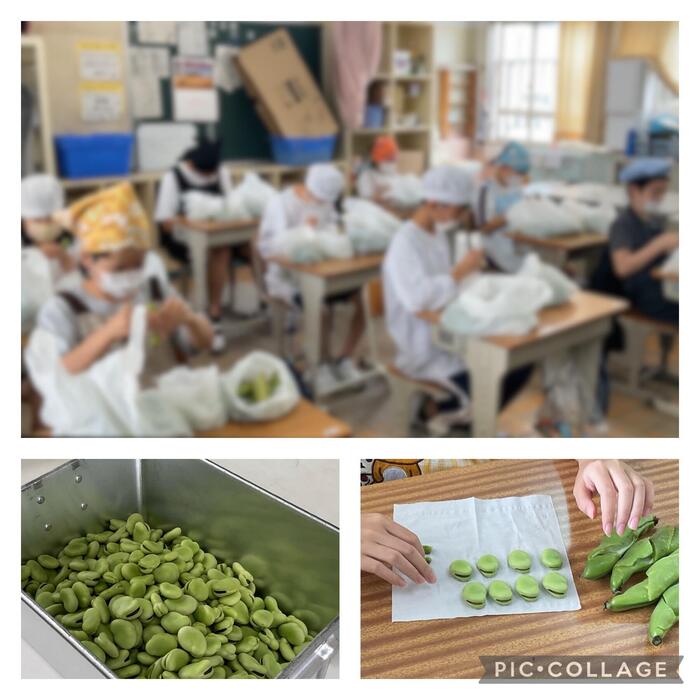 そら豆のさやむき