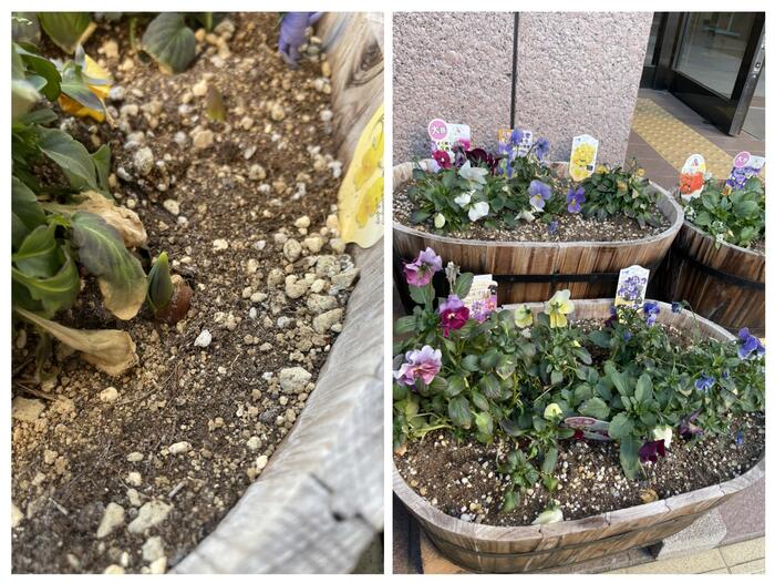 春が近づいてきました