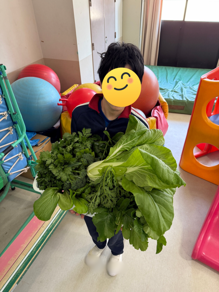 大きな野菜が豊作です。