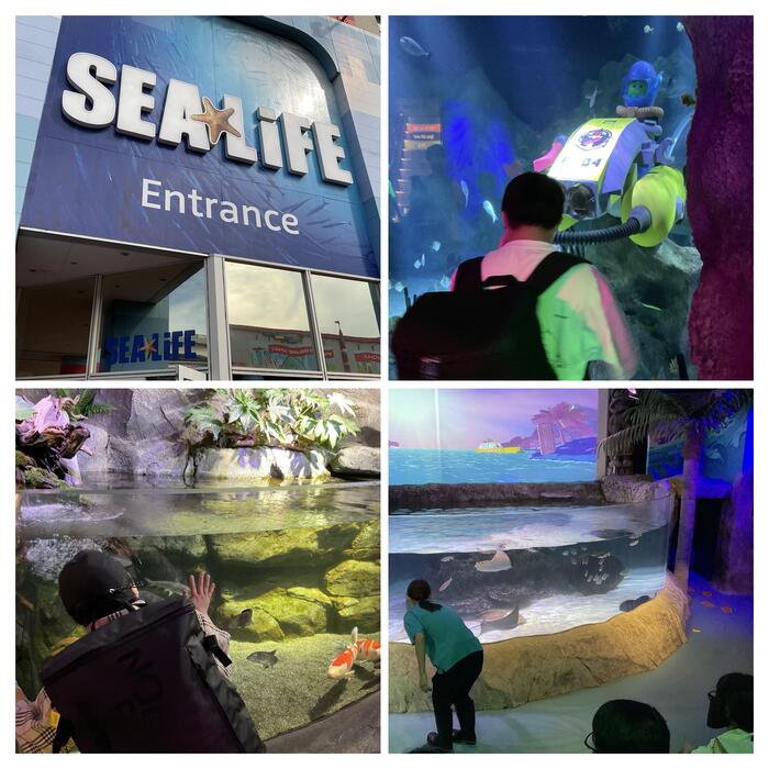 【高３修学旅行】🐟シーライフ🐟