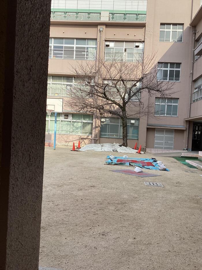 桜の木