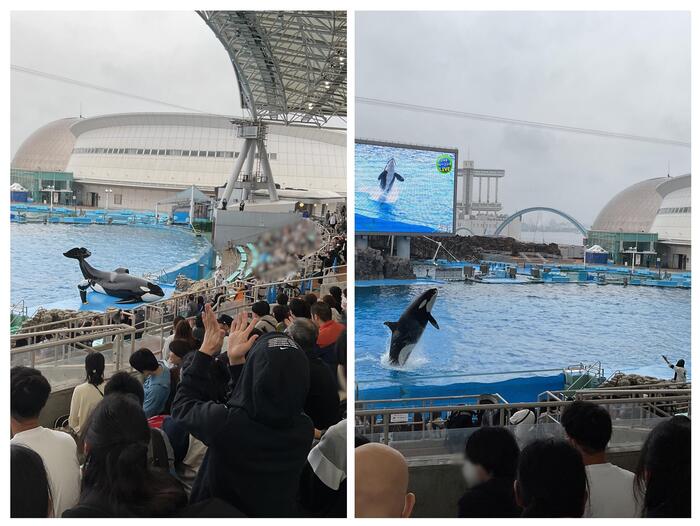 【中学部修学旅行】ありがとう！名古屋港水族館！！