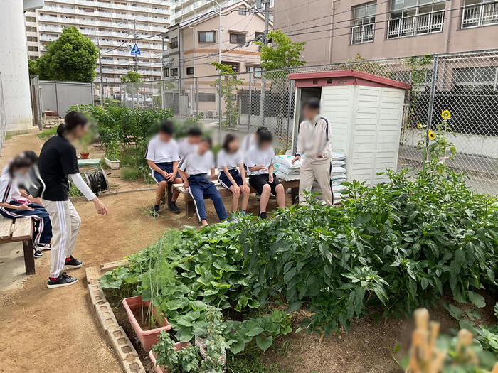 夏を越えて、ぐんぐん成長✨
