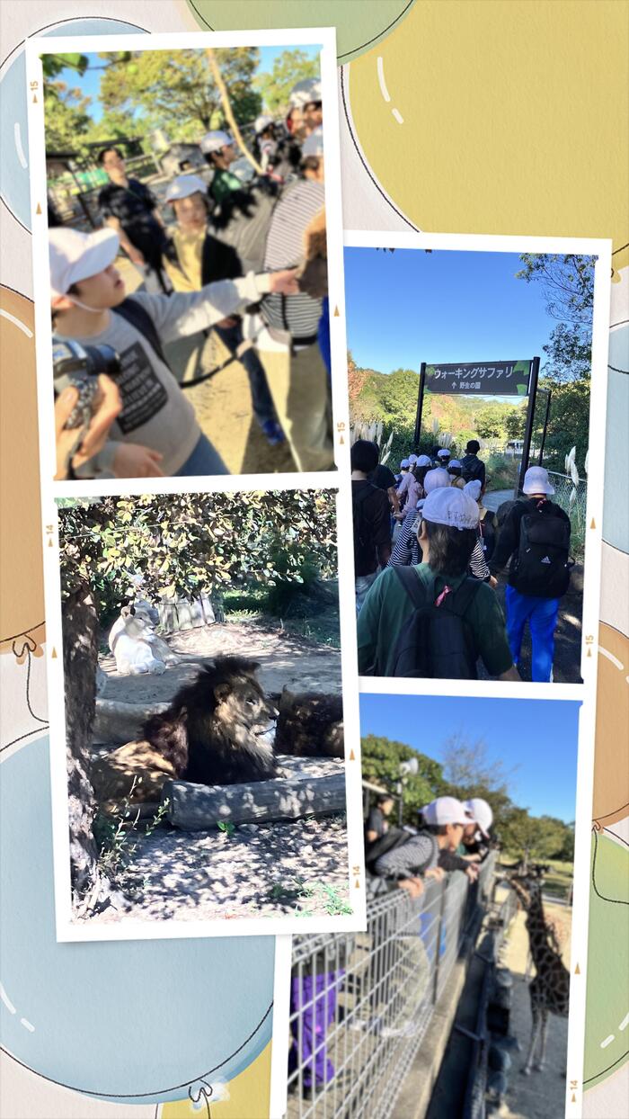 【小6修学旅行⑤】姫路セントラルパークサファリエリア満喫🐱