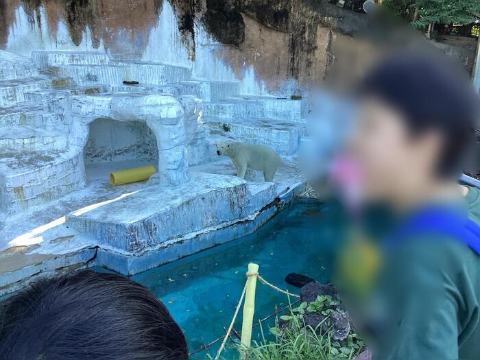 (高2宿泊)動物園堪能してます🐨