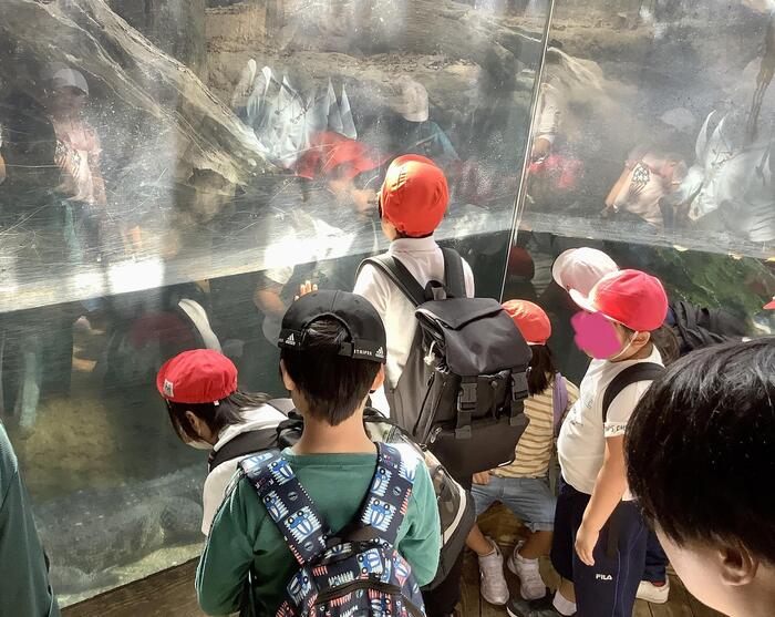 天王寺動物園に行ってきました！