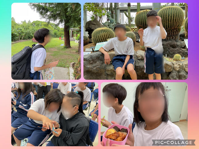 🌵咲くやこの花館🌺(6/24記事）