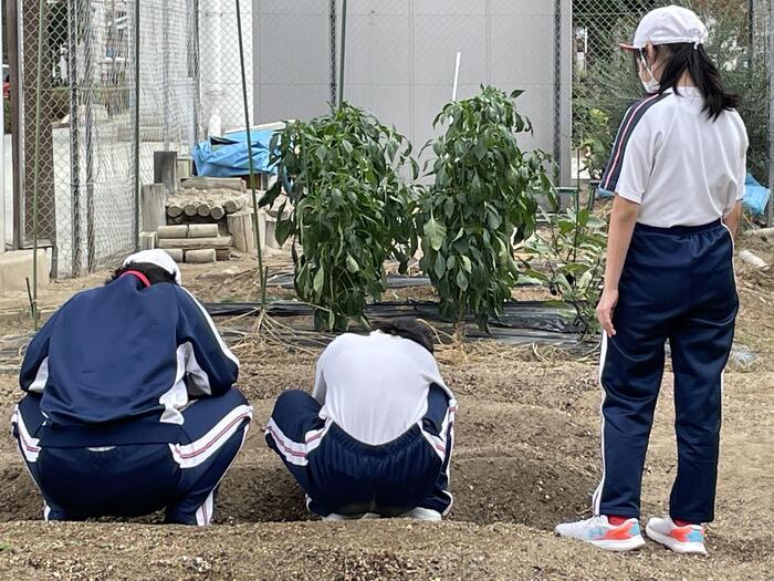 畑でお勉強。