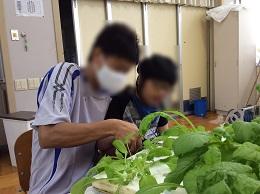 まびこう1.jpg
