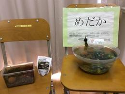 病弱部 作品展6.jpg