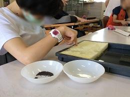 種うえ1.jpg
