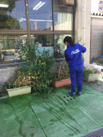 朝の水やり当番