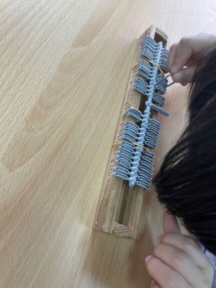小学部 校内実習見学・体験会