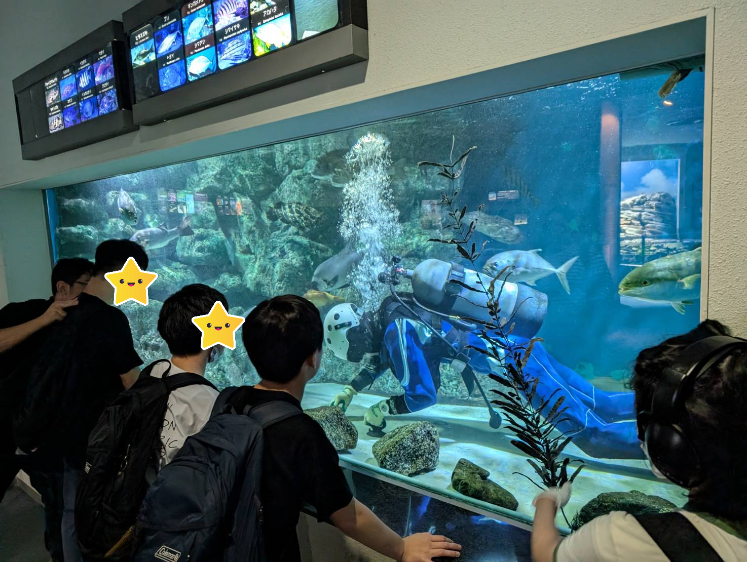 水族館４.png