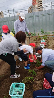 小学部 ジャガイモ掘り