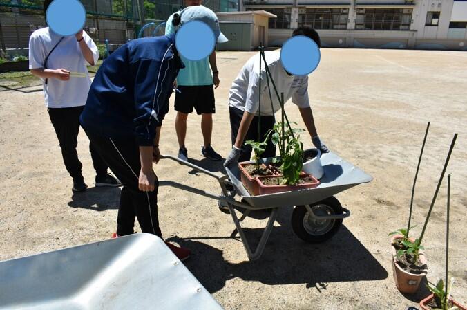 高等部１年 作業（園芸）