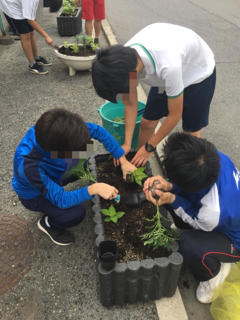 高等部 花壇の花壇づくり